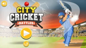 city cricket 1